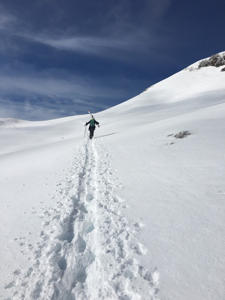 Ski-Tagesfahrt mit Skitour